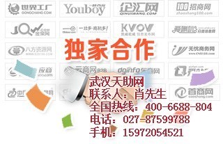 武汉天助网 赋能企业数字化转型，打造高质量网站建设服务