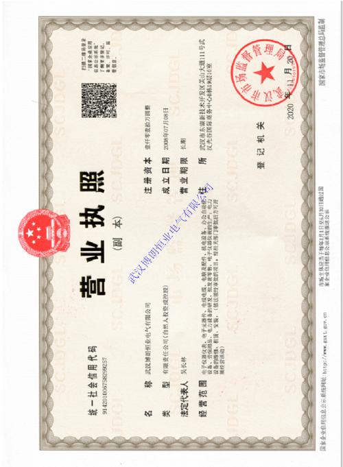 武汉博朗恒业电气营业执照